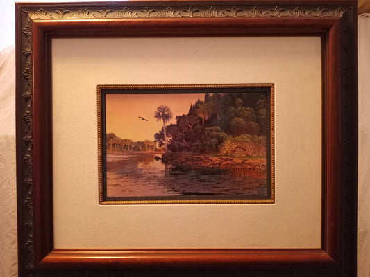 Charles Rowe - Homosassa Night Heron original work gallery COA