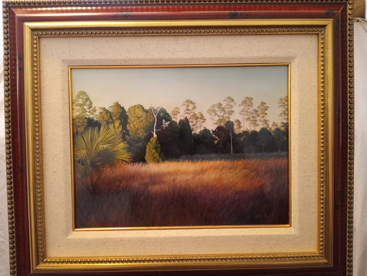 "Chas" Rowe Yankeetown Hawk orginal work COA